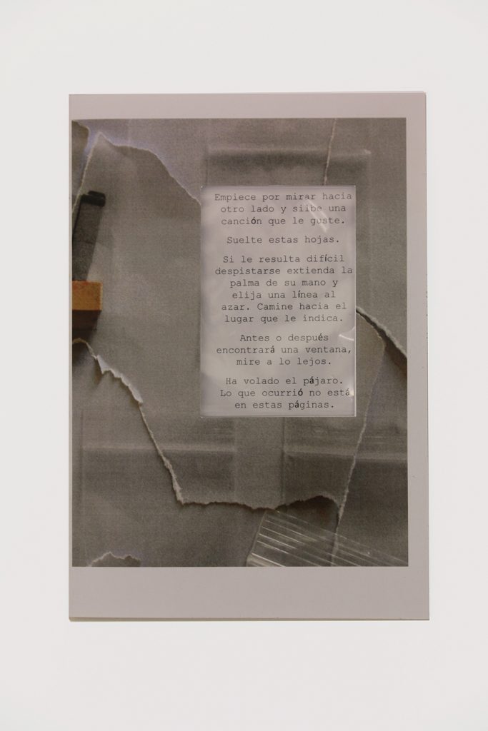 1 fanzine memoria-1000