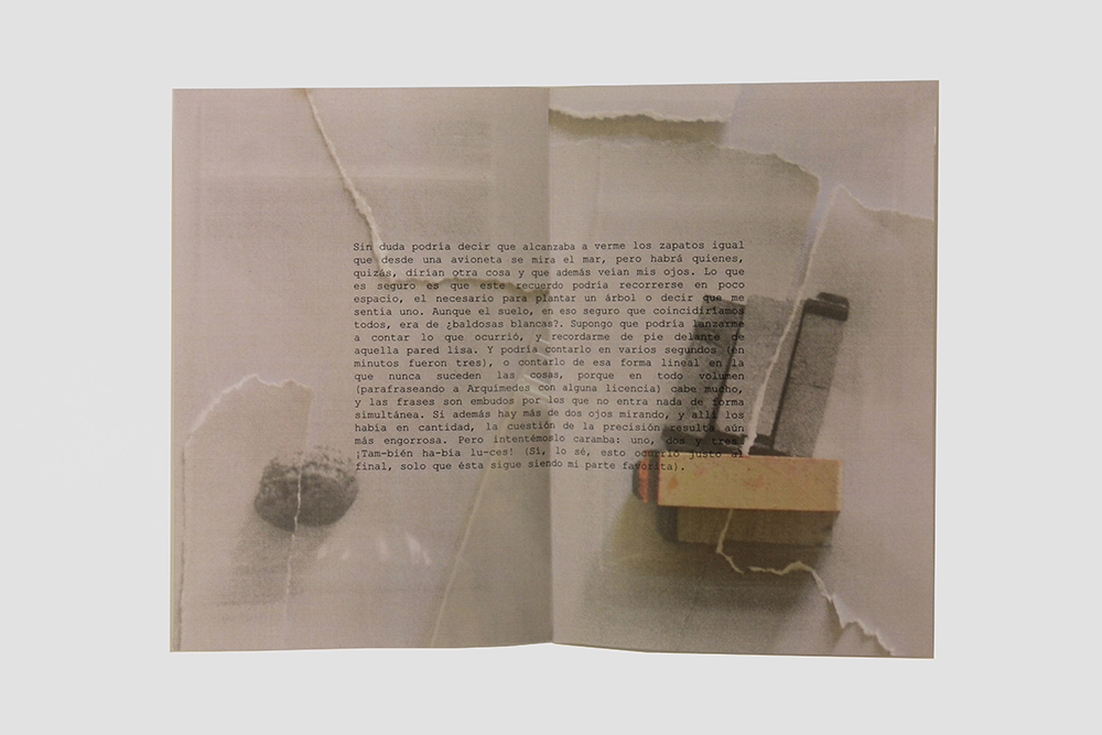 2 fanzine memoria-1000